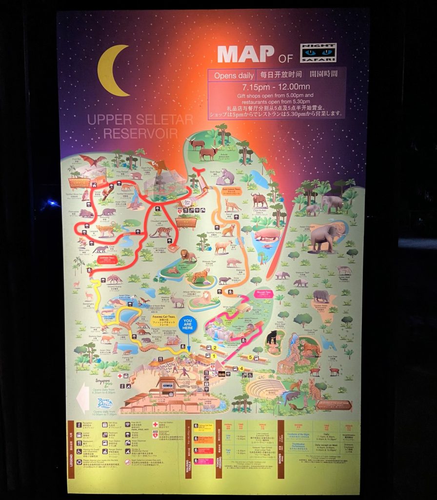 Night Safari Map